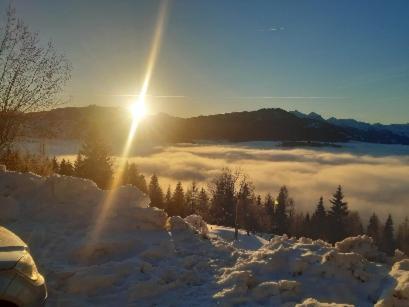 Kohlegghof Aparthotel Schwemmberg ภายนอก รูปภาพ